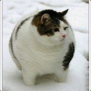 mmR DroPPinG seRviCe