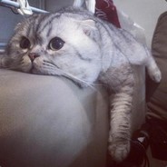 即将有八块腹肌的胖子