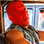Dominic Tomato