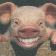 !$!] I kill you [!$!