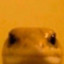 Darko