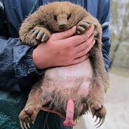 Зелебражник