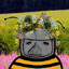Virb