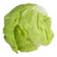 clump of lettuce