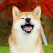Abolchan