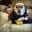 Therapist (KENDOM ENJOYER)