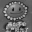 阳光男孩
