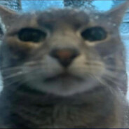 Whiskers