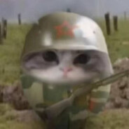 老子猫叫鸡鸡米