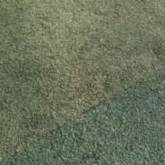 山本大意失仙人