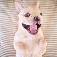 神秘阿帕#CSGO真箱