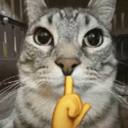 过家家就到此为止吧