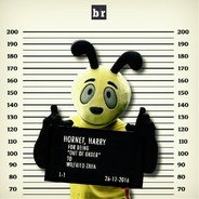 Harry The Hornet