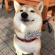 爱吸血的杰尼龟