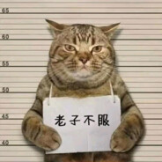 猪猪侠