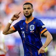 ᴄ. ɢᴀᴋᴘᴏ ライ