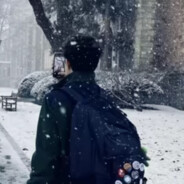 蒋介奶的石头