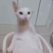 :(