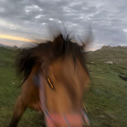 我就一个松果了