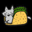 Taco_Catt