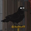 Raven