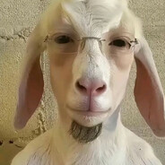 . avatar