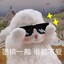 今天下饭了吗
