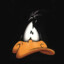 Daffy Fuck