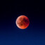 redMOONER