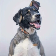 我在中门当老六