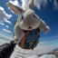 Skydiving Bunny