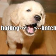 Hotdogfreak's avatar