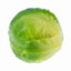 Brusseled Sprout