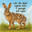 Den Flossede Hare