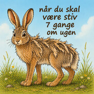 Den Flossede Hare