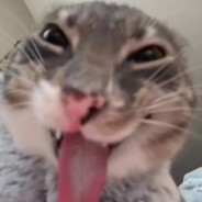 小爷是魔那又如何