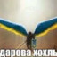 Анальный_карател