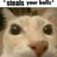 The_Ball_Stealer