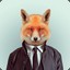 Mr. Fox