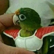 Mita - steam id 76561198048858381