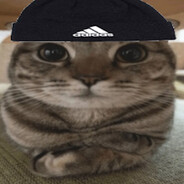 Sammara avatar