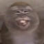 123🦍