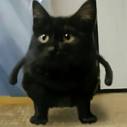 合理！合法！合规！