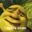 SHREK