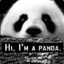 panda69