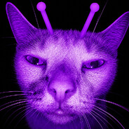 ʀᴇɴᴀ