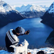 回眸一笑百媚生