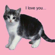 ✽ઉิદઉิ✽