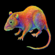 Rainbow Rat