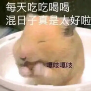鼠鼠